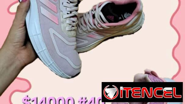 Tenemos tenis originales, converses, adidas vans, nike