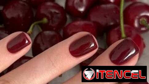 uñas color entero y con diseños