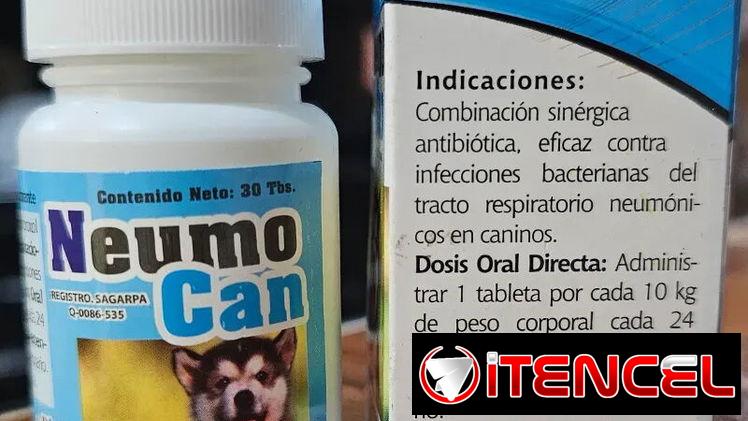 NEUMOCAN (Antibiótico de amplio espectro, analgésico, antiinflamatorio, antipirético, expectorante)