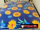 OFERTAS DE CAMA +COLCHON
