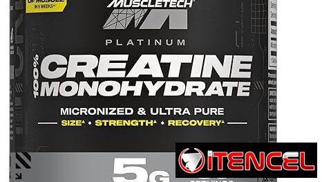 CREATINA MONOHIDRATADAS AMERICANAS 55055685 ACEPTO CUP