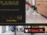 Fumigación Y Control De Plagas