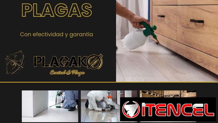Fumigación Y Control De Plagas