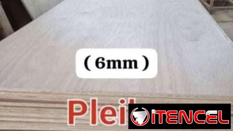Pleibo