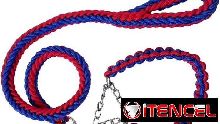 CORREA TRENSADA + COLLAR PARA PERROS 🐕 DOG&CAT 💯