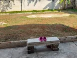 450mil casa en en centro d la habana kholy ave 41