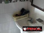 Se vende casa independiente en Marianao( agua 24hrs, gas, garaje, placa libre)