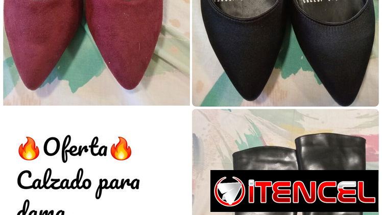 Zapatos de dama