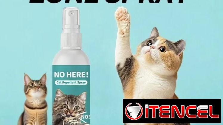 Spray repelente para gato
