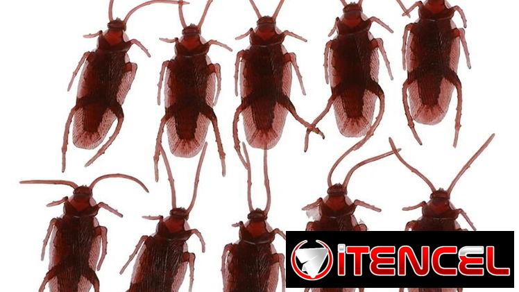 📦 => Pack ! 10 Cucarachas de Plastico !! 📦 => FALSAS de BROMA – JUGUETES – TAMAÑO REAL – 58872360