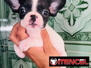 7ab71ad7d91c8dafac41547d2a29c00ff3ca8c38945470fd21942065ccf3a945
