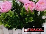 🧧Maceta pequeña tipo Jardinera/14 usd🧧💫