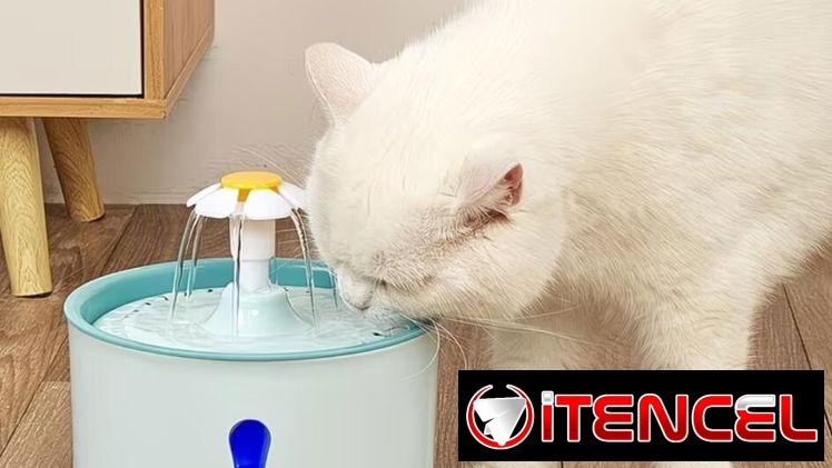 Fuente de Agua Inteligente para Gatos Alimentación USB