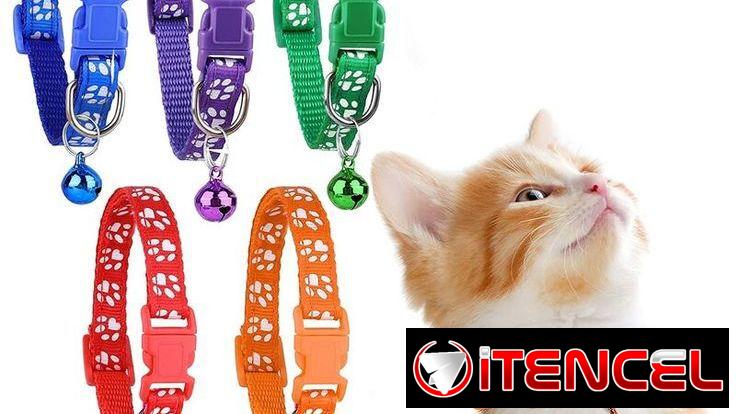 Collares para mascotas