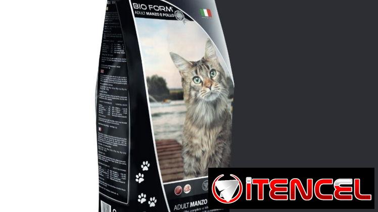 PIENSO IMPORTADO PARA GATOS 🐱 BOLSA 2 Kg Pollo – Res