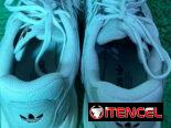 👟 ADIDAS OZMILLEN ORIGINALES