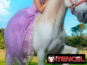 7c50cad90b047d3aa6ca28cc0760972c909cbbce0df1a1ea8b06b1b31704bab0-1
