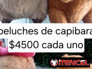 7c76d55b65b46f0a26dbdb670c09d97493301e8c06c0b27db2826dbb7dfc13f2