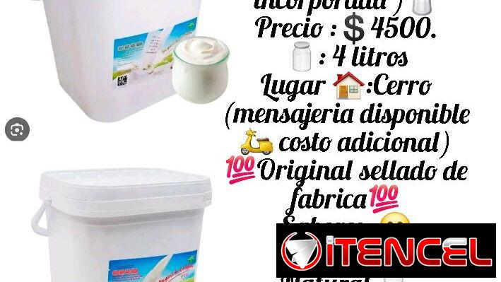 Yogurt probiotico