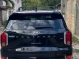 Vendo o negocio, Hyundai Palisade, 2021, Callygrafhy 4 × 4