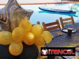 Decoración de cumpleaños, fiestas, eventos