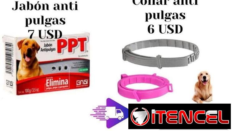 Collares y jabón antipulgas