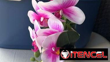Macetas con flores artificiales