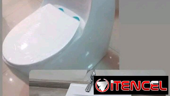 Tasa monolitica