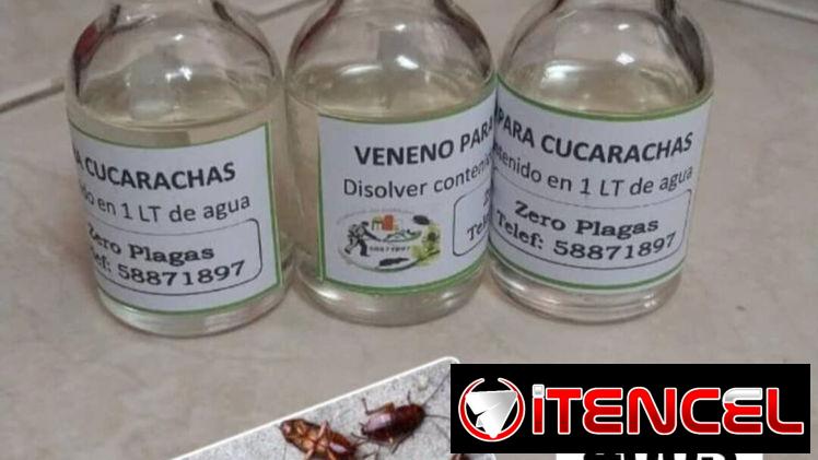Veneno para cucarachas