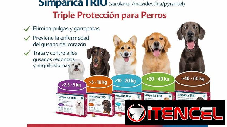 Simparica TRIO