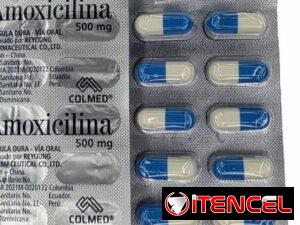 7ed7a12b7fda783028c20ef9c401898bdbe482559a2ba45e57bb71be06a6c1f9