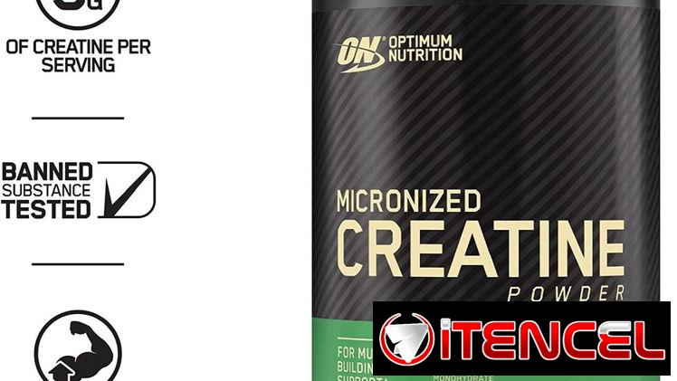 FITNESSARMY Creatina Monohidratda Micronizada ON 300gr – 60serv. 58234161 FITNESSARMY