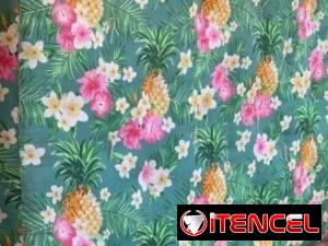 7ef15d9641b707c9953473e9b06d8f5246373213c25b71de0892ab0cb8008038-1