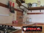 Renta de apartamento en Centro Habana