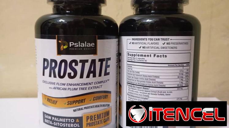 Prostate