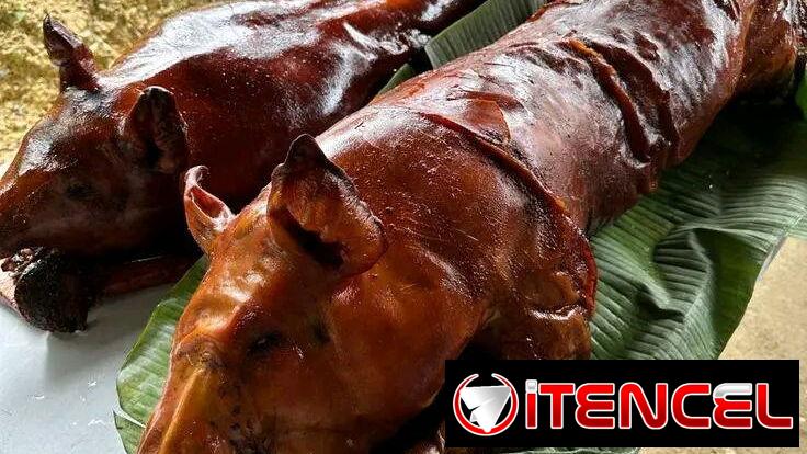 🍗¿Antojo de lechón criollo? Te lo llevamos a casa,caliente y listo para disfrutar sin cocinar.Reserva ya⚠️!!