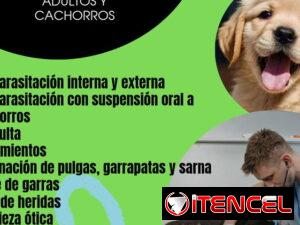 7f8c9729fc19878ce8d542127b21440638012f32c77b583b809bd89805b926a1