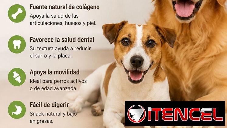 Patas de gallinas deshidratadas para perros