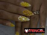 Manicure y Pedicure