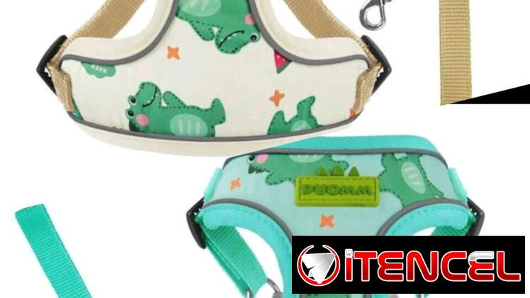Paseo y Seguridad para mascotas