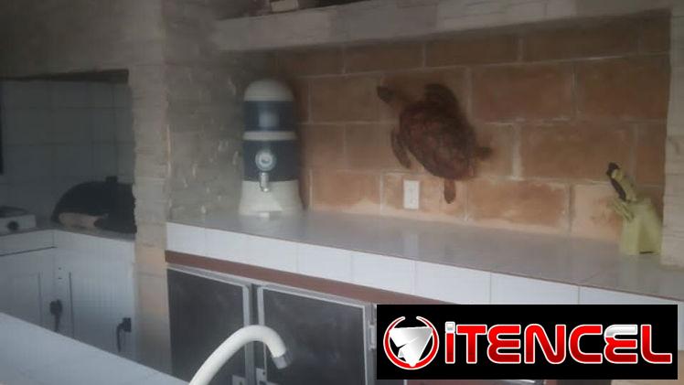 Se renta casa de tres habitaciones con piscina en altura de Boca Ciega. 58858577.