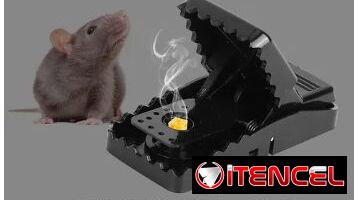 RATONERAS TRAMPAS PARA RATONES PARA RATAS!!!! LO MEJOR DEL MERCADO!!!!