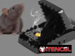LO MEJOR DEL MERCADO TRAMPAS SUPER EFECTIVAS PARA RATONES