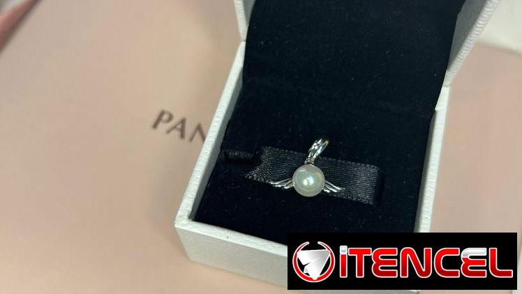 Pandora 💯% Original y charms