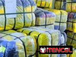 PACAS JAMBO GOLD ISABEL