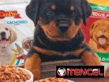 Alimento húmedo para perros y gatos