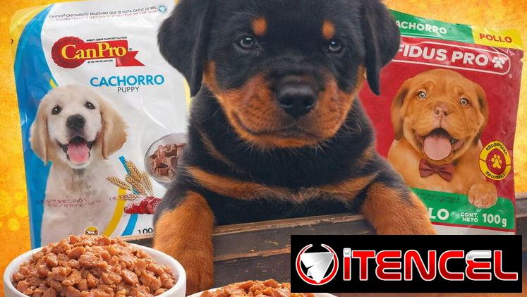 Alimento húmedo para perros y gatos