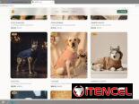 Haz tu Propia Página Web