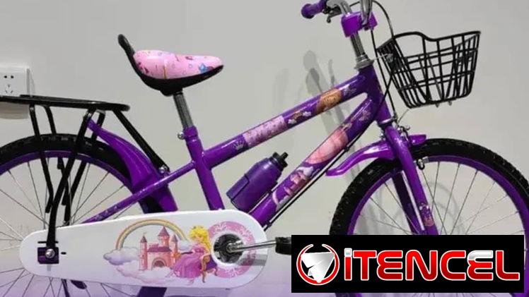 Bicicleta 12