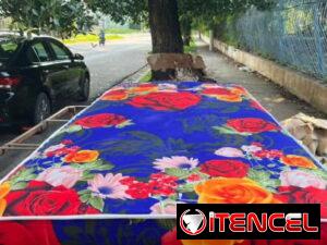 81a8cd0292e85275a730d7d1ccafc7644d3fe4a2e117fdb66c258096e513fdc6